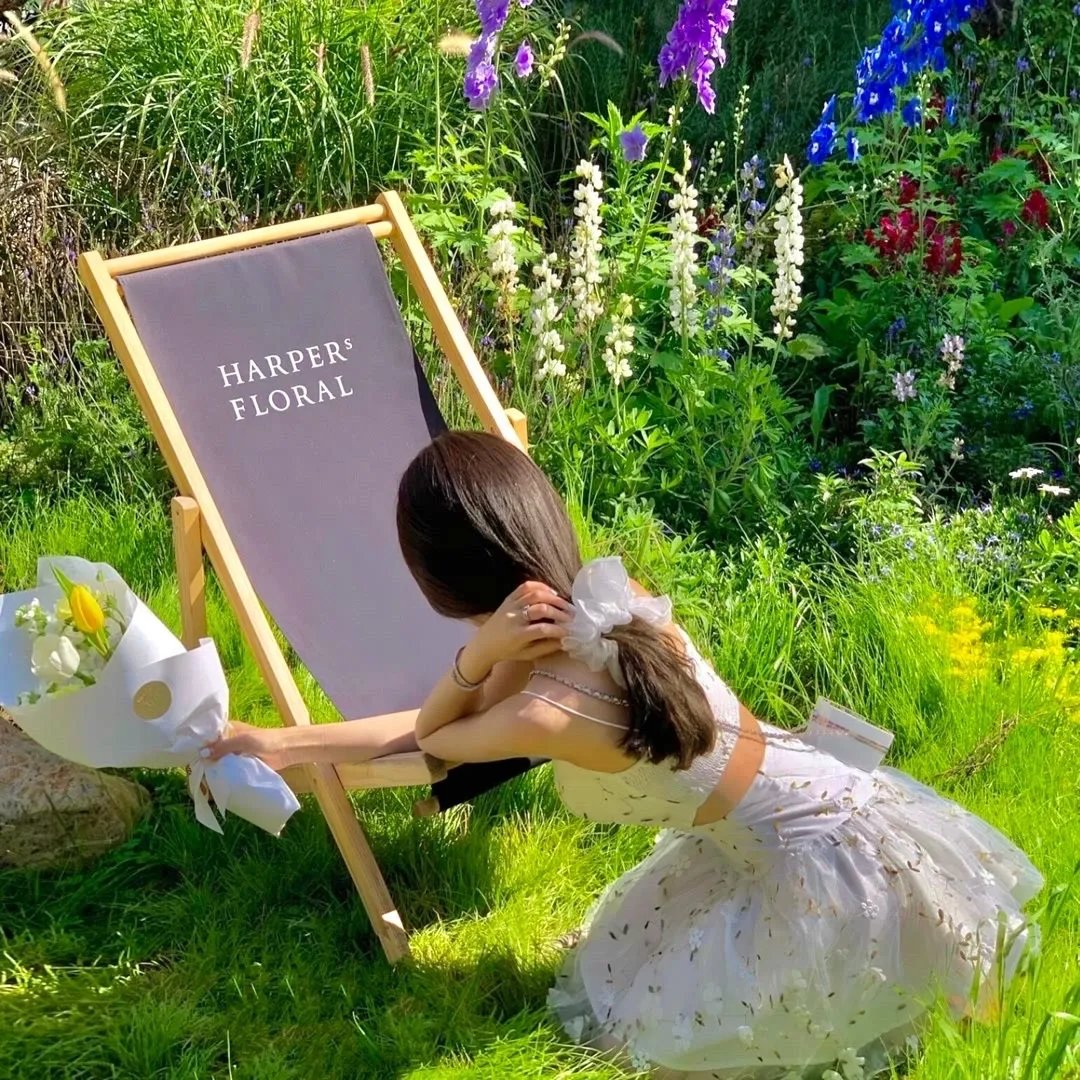 喜羊羊与灰太狼之羊村守护者